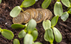 Over 130 investment funds adopt UK sustainable disclosure labels