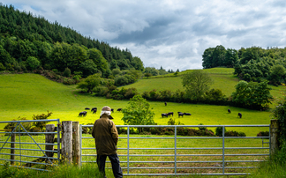 Mental Health Awareness Week - 2026 round-up: Despite the struggles, glimmers of hope for farmers
