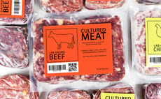 Alternative protein: How fermentation could become a £10bn industry for the UK