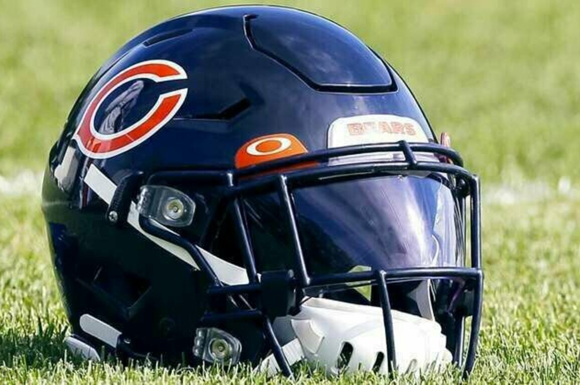 Bears rookies eager to learn from veteran teammates
