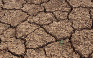 Study: Corporates concern over El Niño impacts at highest level since 2019