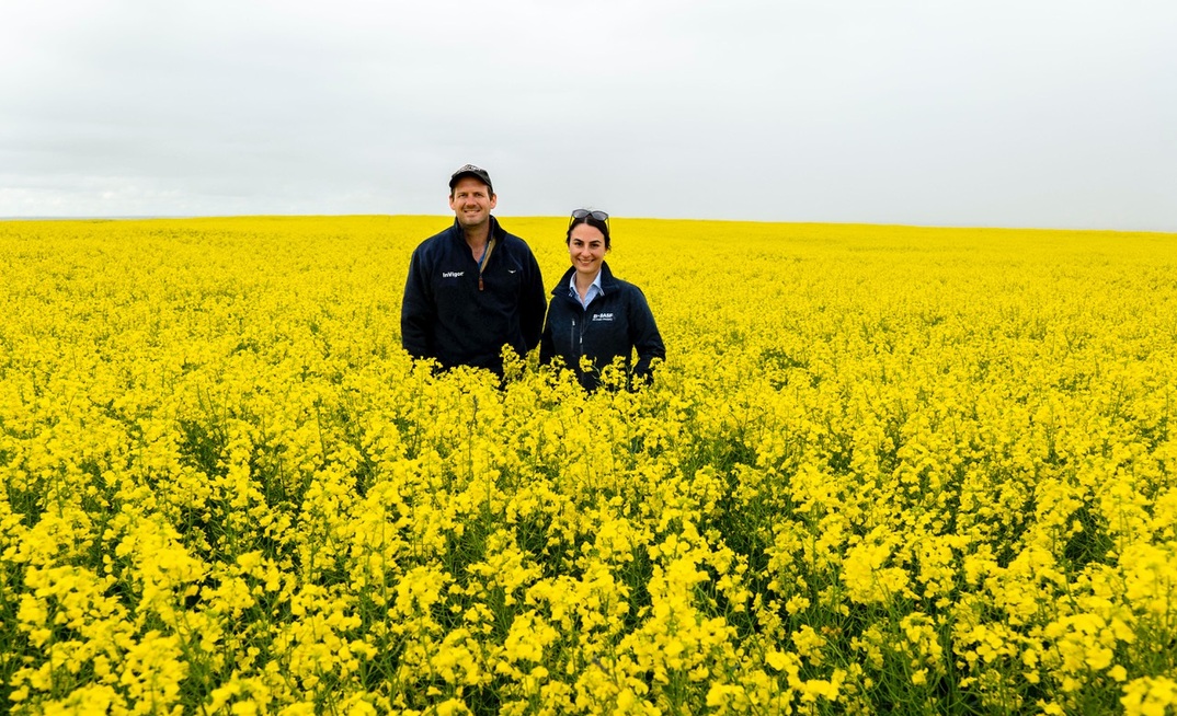 BASF's Scott Walker and Caroline Dix. BASF has announced two new varieties of InVigor canola. Image courtesy BASF.