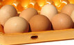 All Australia's eggs in China basket in 2008: Access