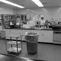 Contaminated milk from one plant in Illinois sickened thousands with 'Salmonella' in 1985 - as outbreaks rise in the US, lessons from this one remain true
