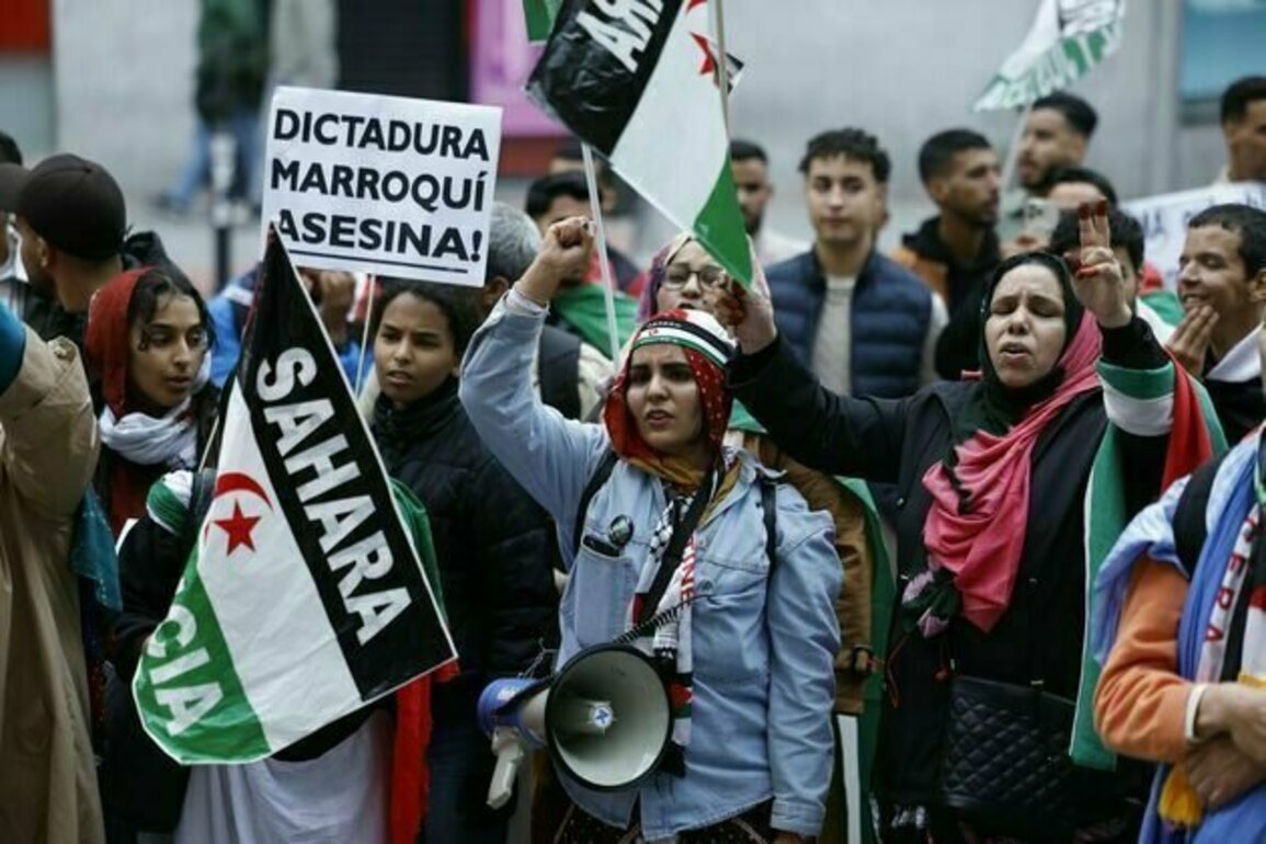 Morocco using economic clout to strengthen grip on disputed Western Sahara territory
