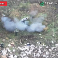 Pig saves two Russian soldiers from stepping on mine  media 