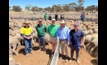 Left to right: Gavin Morgan, Doodlakine, WA, vendor, Aaron Caldwell, Livestock and Land Merredin, WA, Jake Finlayson, Livestock and Land Cunderdin, WA, Zeb Broadbent and Alex Pollock from McKean McGregor, Bendigo, Victoria, at the Merredin ewe sale last week in WA..