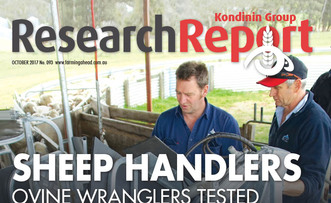 Download 'Research Report: Sheep handlers' as PDF