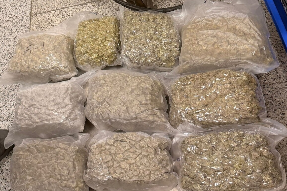 DRI seizes over 27 kg Marijuana at Hyderabad Airport