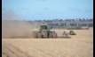  Rural Bank says China is driving demand for wheat and wool. Picture Mark Saunders.