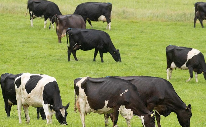 APHA has said some restrictions on movements in areas affected by bluetongue had been lifted