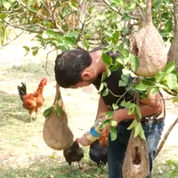 18-year-old creates 150 bird nests to save Sparrows