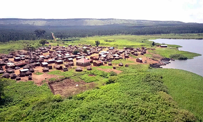 Uganda forest communities cast aside in fight against climate change Uganda forest communities cast aside in fight against climate change