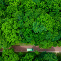 CHINA-HEILONGJIANG-YICHUN-NATURAL RESOURCE (CN)