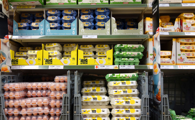 The BEIC says the Government is undermining UK producers by lowering animal welfare standards for imports