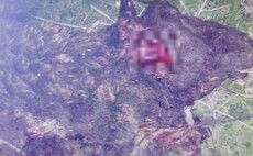 Police investigating death of sheep on day new livestock worrying legislation came into effect