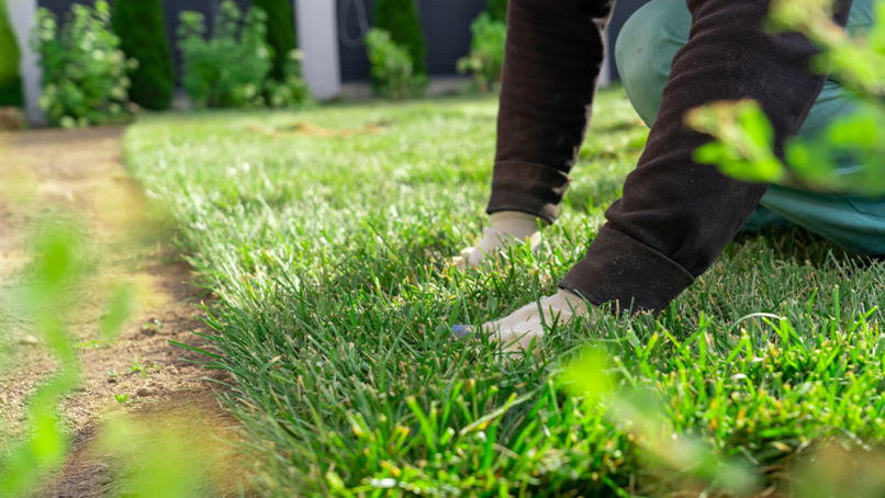 The folly of manufacturing and installing artificial grass cannot carry on
