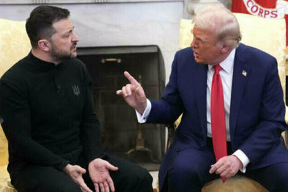 Trump 'put Zelensky in his place' - White House