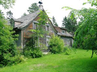 The case for traditional materials