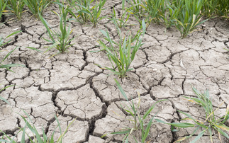 Almost three-quarters of England now in drought