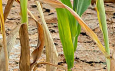 Public urged to think about water use in order to protect farming
