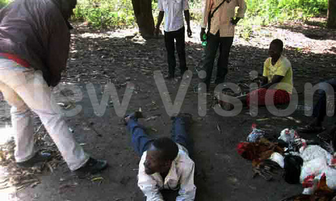 Kaberamaido men flogged for having no toilets Kaberamaido men flogged for having no toilets