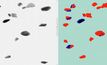 Raw (left) and processed XRT images of high and low density particles. The high density ironstone is blue-black while the low density granite and metamorphic particles are red.