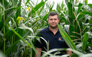 Partner insight: Earliness of maturity key for marginal maize grower 