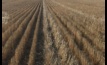  New research into stubble heights and how it can impact profit.