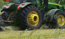  Ticking time bomb: When buying and feeding hay during drought, consider getting it tested to reduce the risk of livestock poisoning. Image: Pamela Lawson