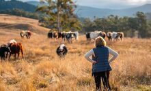 Rural health experts say the Federal Budget lacked targeted measures to address healthcare challenges in regional communities. 