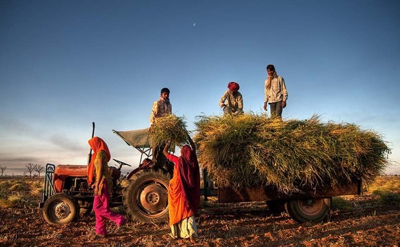 Global ag view: Spotlight on India's growing organic sector