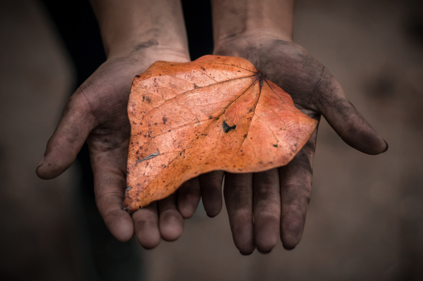 Hands of a child working in the coal mines of Meghalaya, India. 