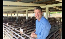  RaboResearch senior animal proteins analyst Angus Gidley-Baird said the Australian cattle industry is facing a slighter brighter light at the end of a slighter shorter tunnel than the sheep industry. Photo Credit: Rabobank.