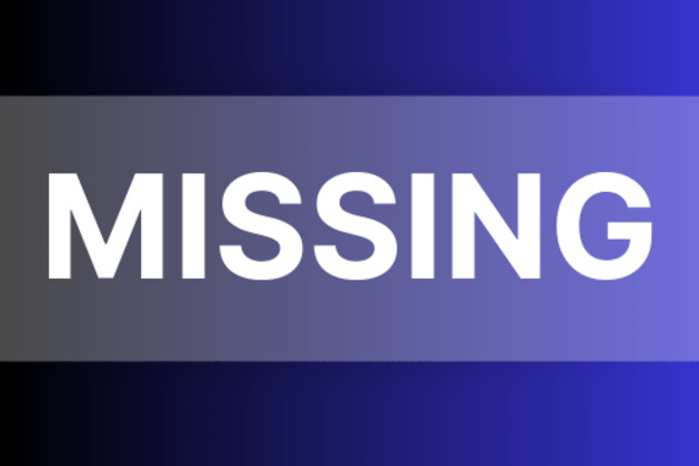 Teenager reported missing from Englewood