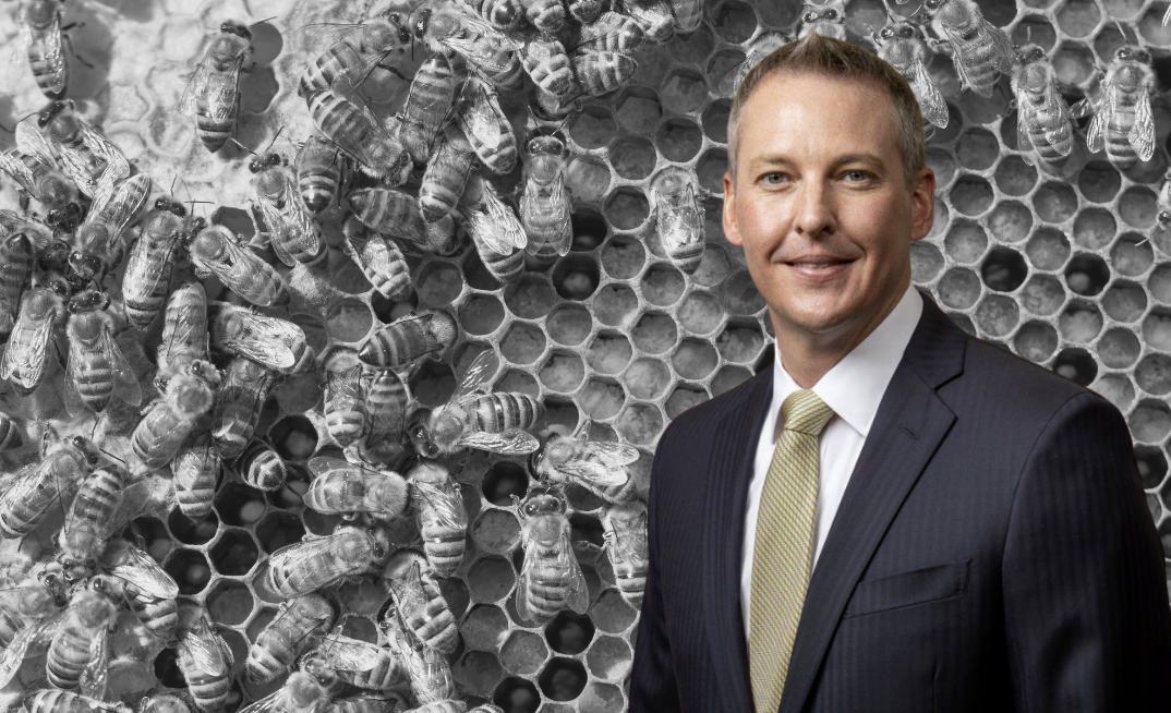 EOG says rising Australian costs has seen Beehive lose its sting