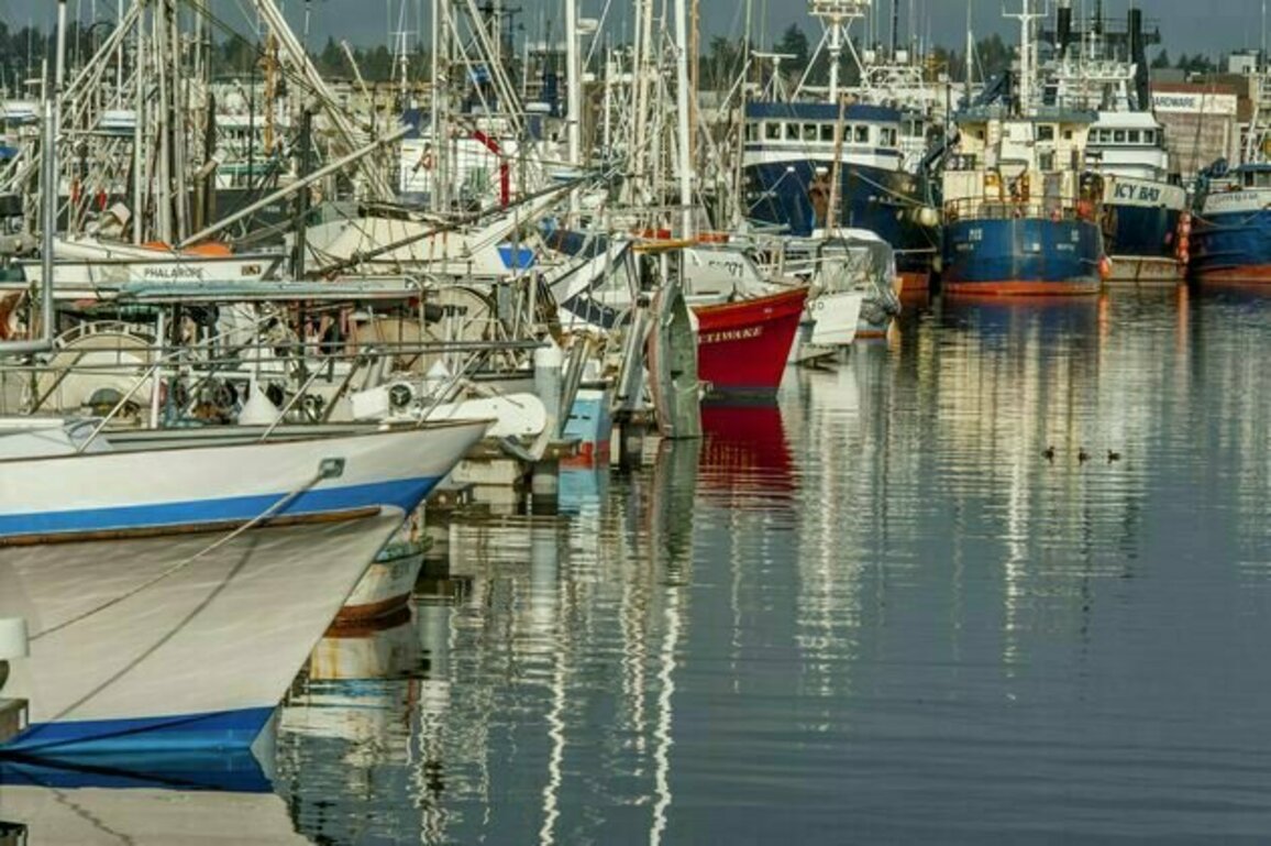 Coastal economies rely on NOAA, from Maine to Florida, Texas and Alaska - even if they don't realize it