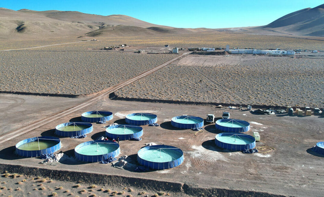 POSCO Holdings: Pioneering Lithium Production from Argentina's Salt Lakes