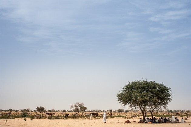 22 killed in ethnic violence in southern Chad
