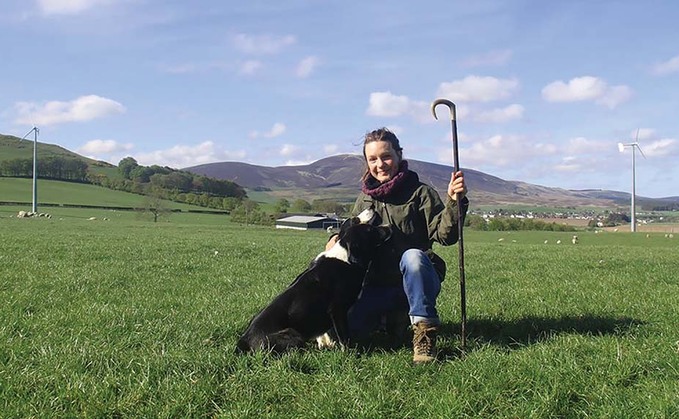 Sheepdog trialler profile: Belgian Laura Hinnekens smitten with Scottish trialling scene