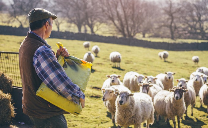 Scottish Government confirmed more than 1,000 sheep farming businesses will receive their share of around £6.6 million from the Scottish Upland Sheep Support Scheme.