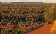 Red centre, blue sky