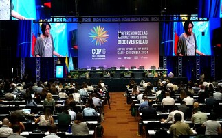 COP16: Concerns grow over 'limited progress' in nature finance talks