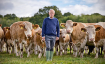 Why Simmental cattle are paying their way on one Herefordshire mixed farm