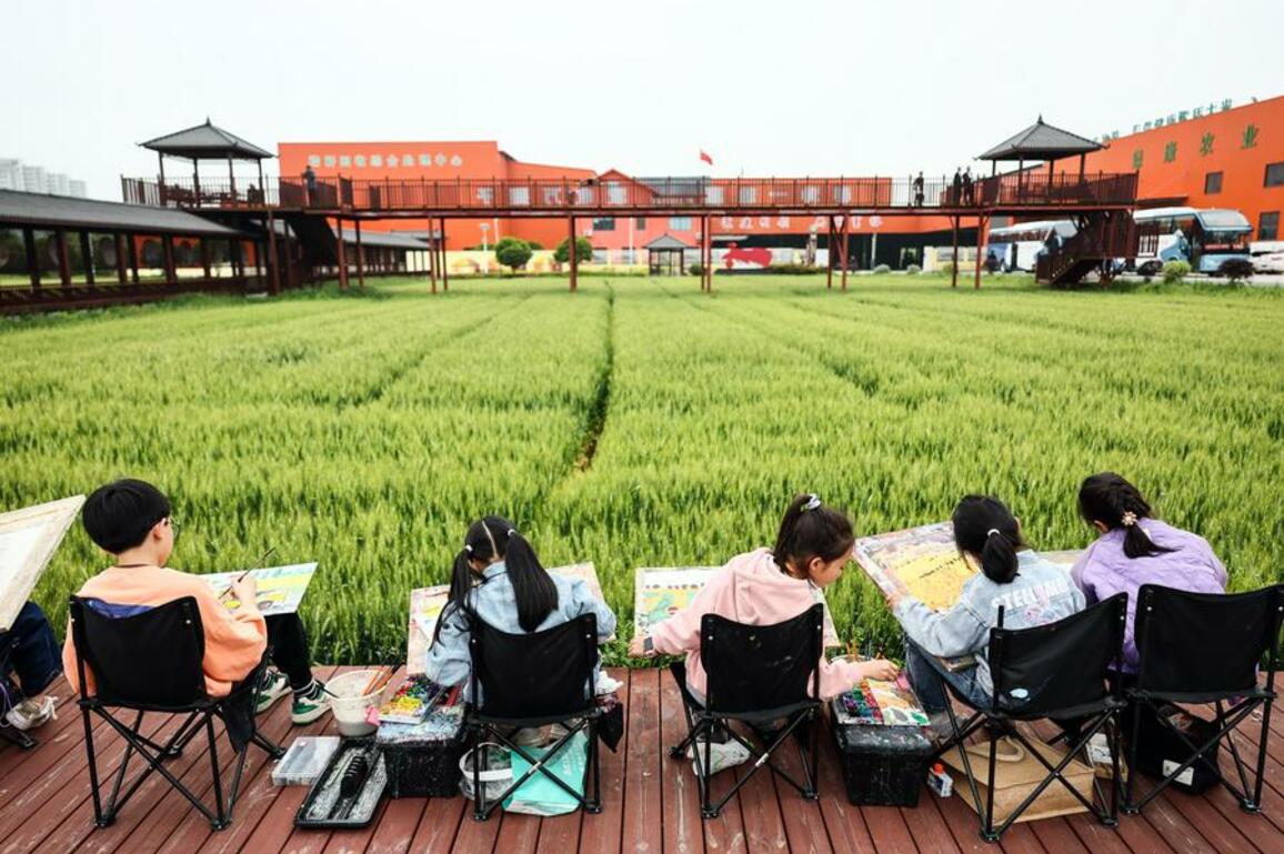 Study tour boom fuels China's countryside revival