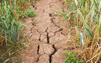 Latest climate change report urges Gov to give farmers skills to maintain production