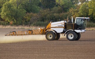 How a sugar beet staple herbicide evolved into cost-effective wheat option