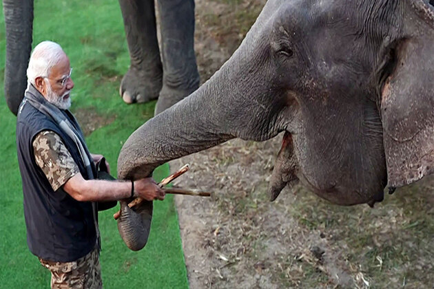 PM Modi highlights India's elephant conservation efforts on World Elephant Day