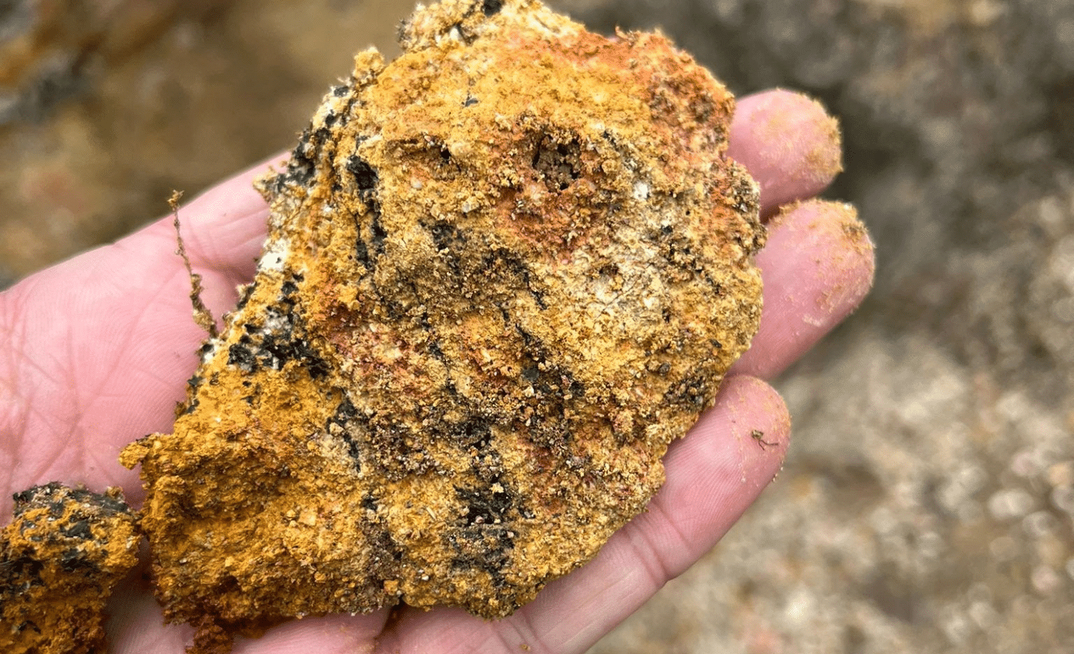 Brazilian miner Meteoric said its soft, clay-hosted deposits don't require drilling, blasting or tailings dams.