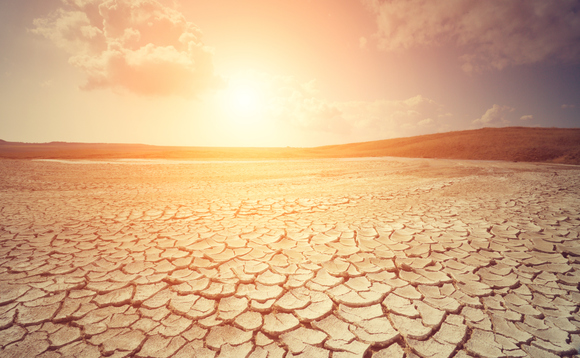 Number of climate-focused funds surges 600% in the past five years 